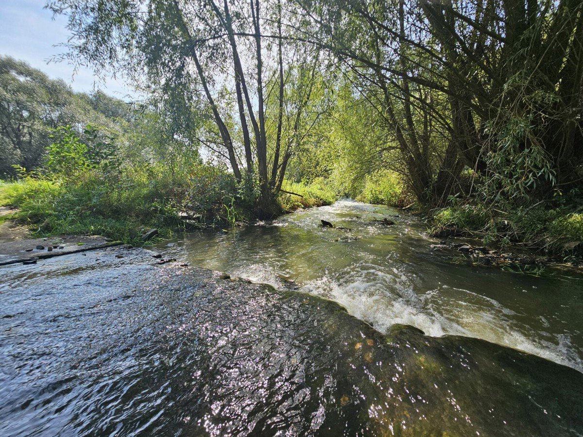 Hình ảnh 6/6