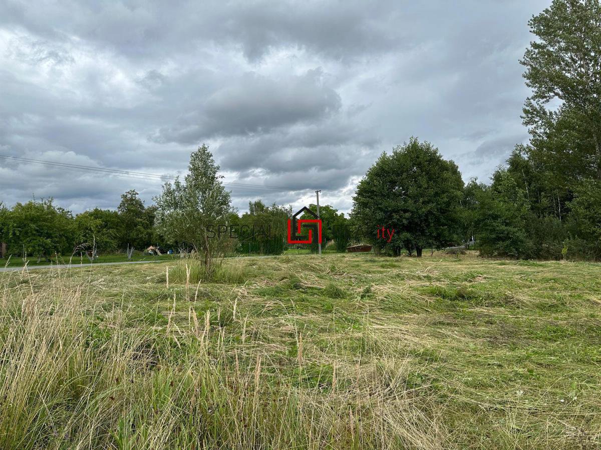 Fotografie 7/10