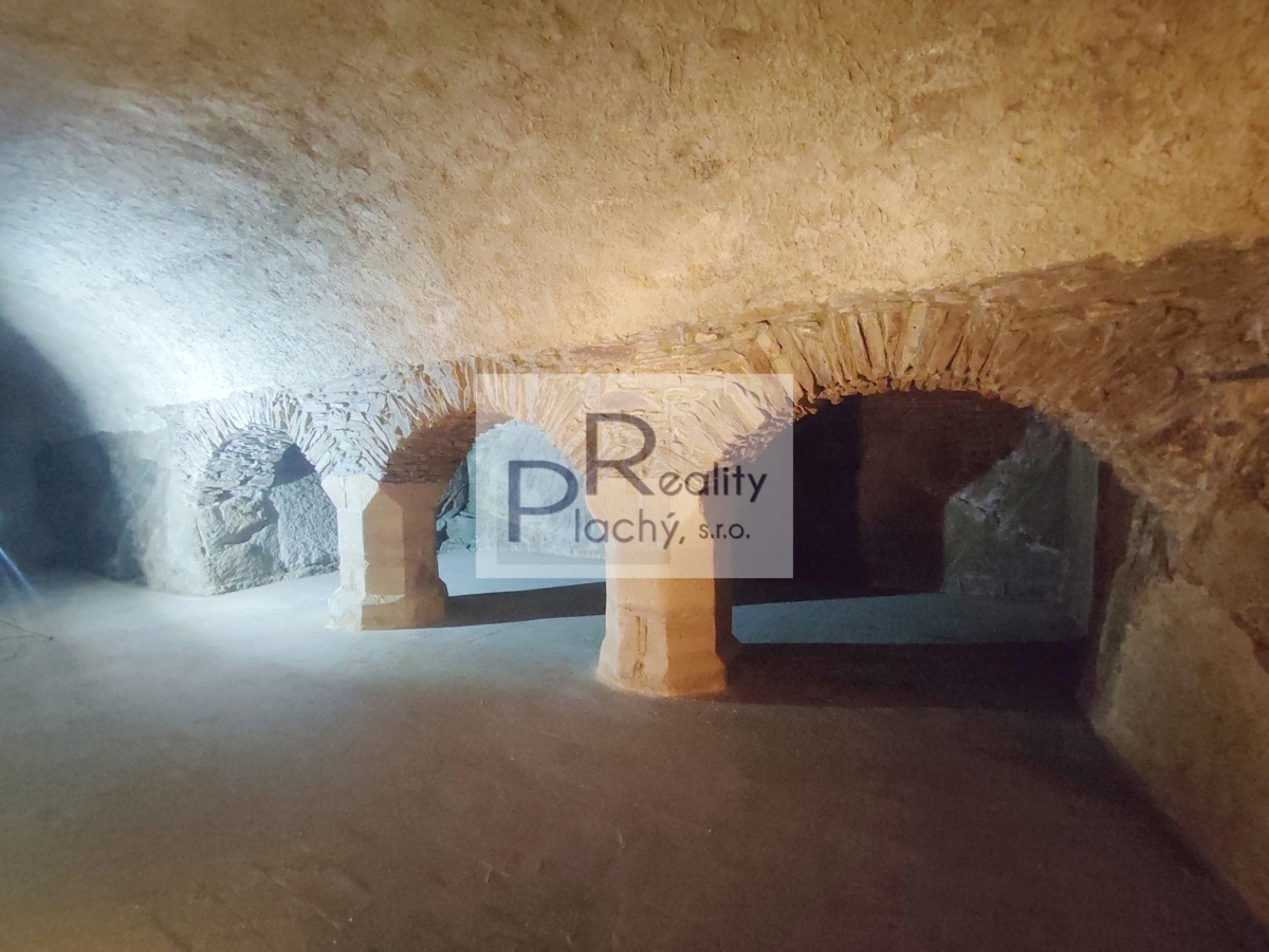 Pronájem komerční nemovitosti · 365 m²