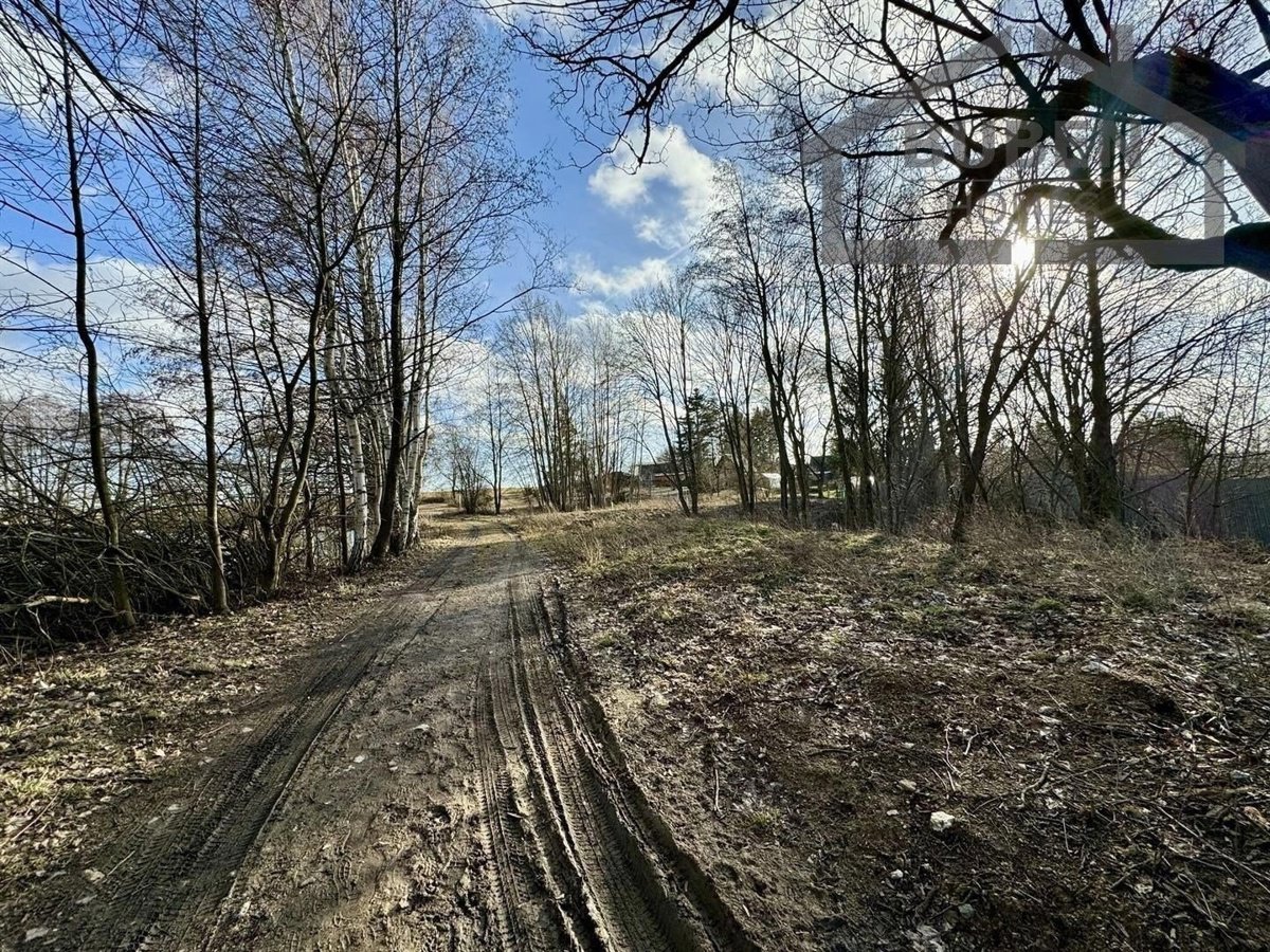 Fotografie 14/23