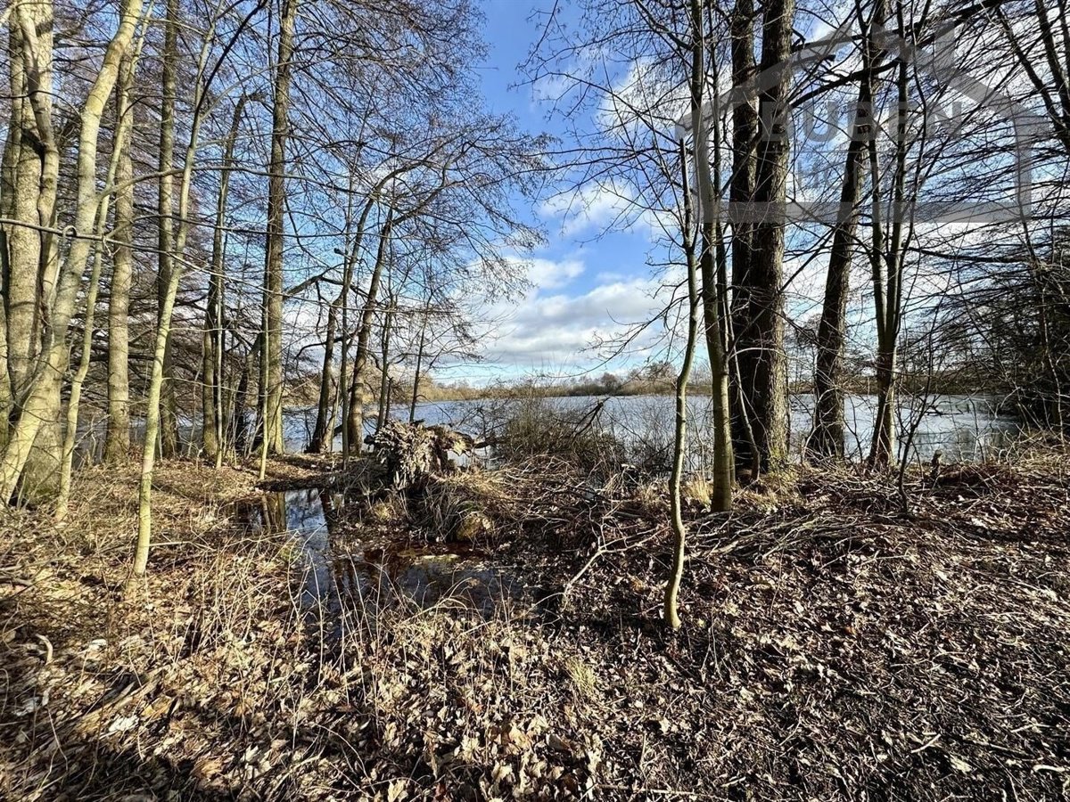 Fotografie 12/23
