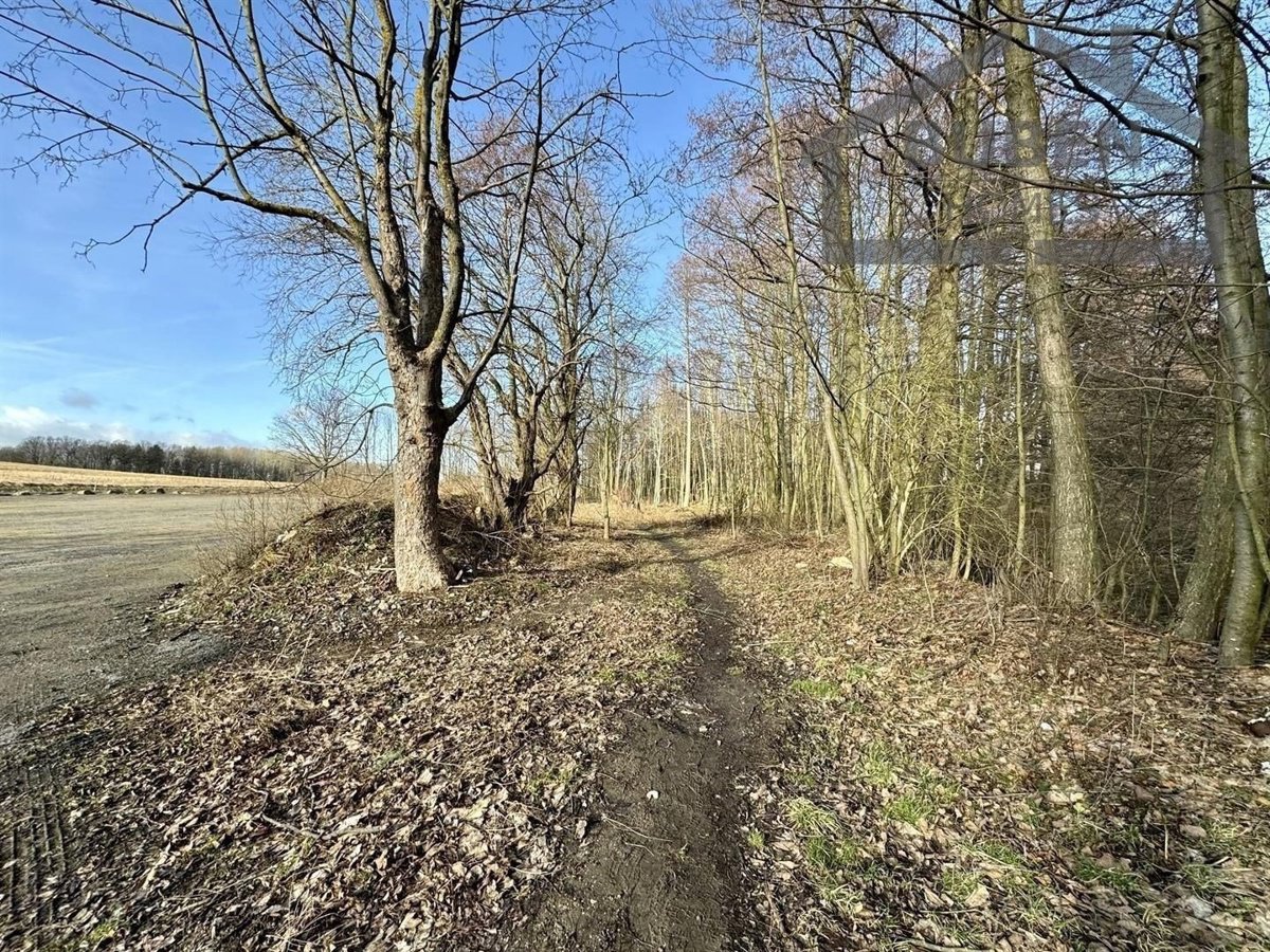 Fotografie 18/23