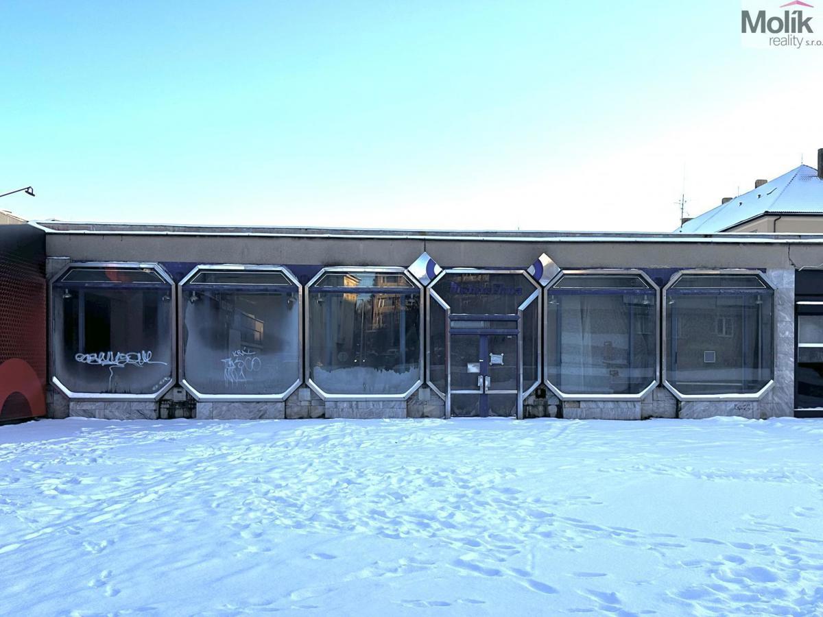 Pronájem komerční nemovitosti · Obchodní prostor · 240 m²