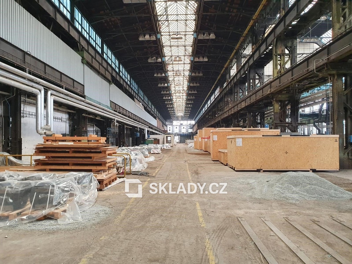 Bất động sản thương mại cho thuê · 10 000 m²