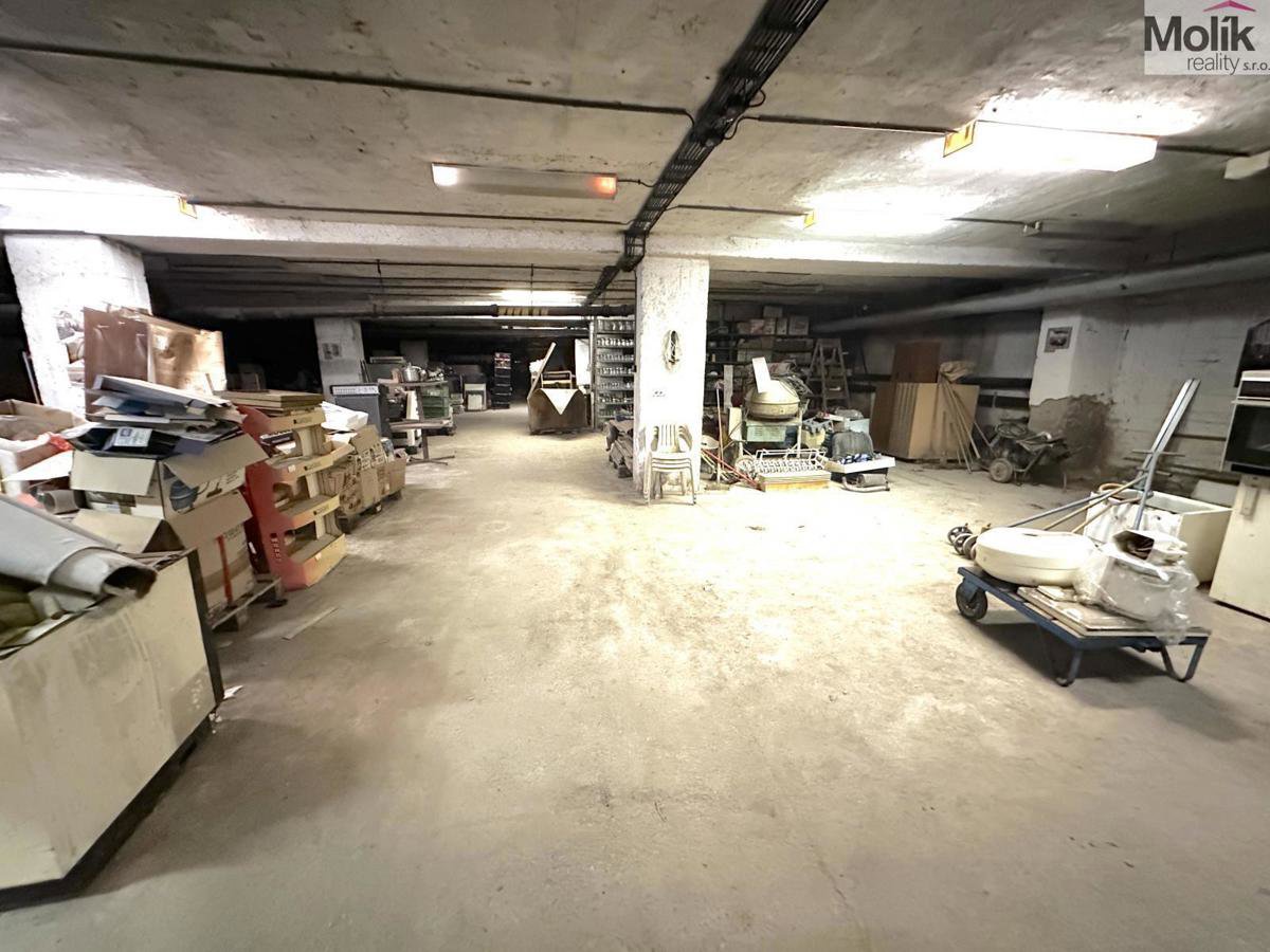 Fotografie 6/11