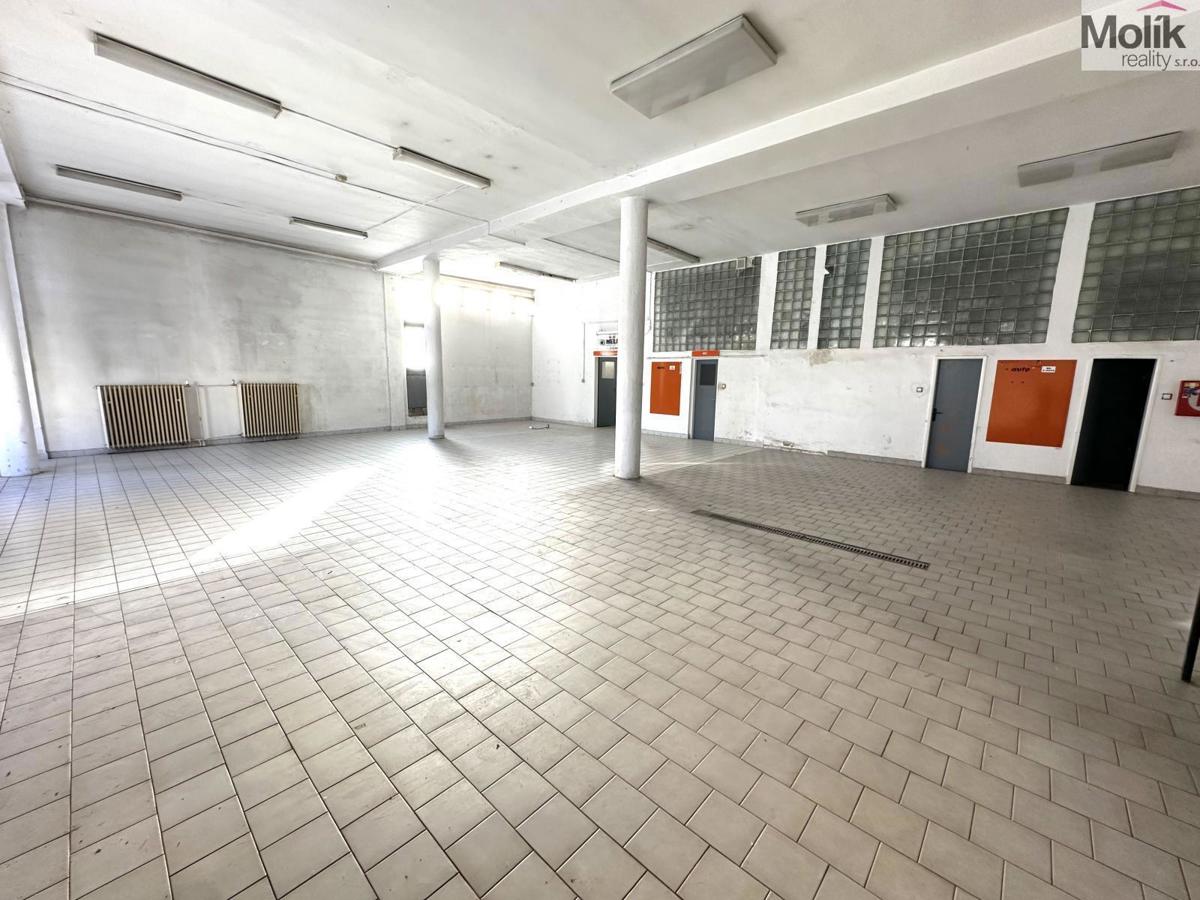 Pronájem komerční nemovitosti · 173 m²