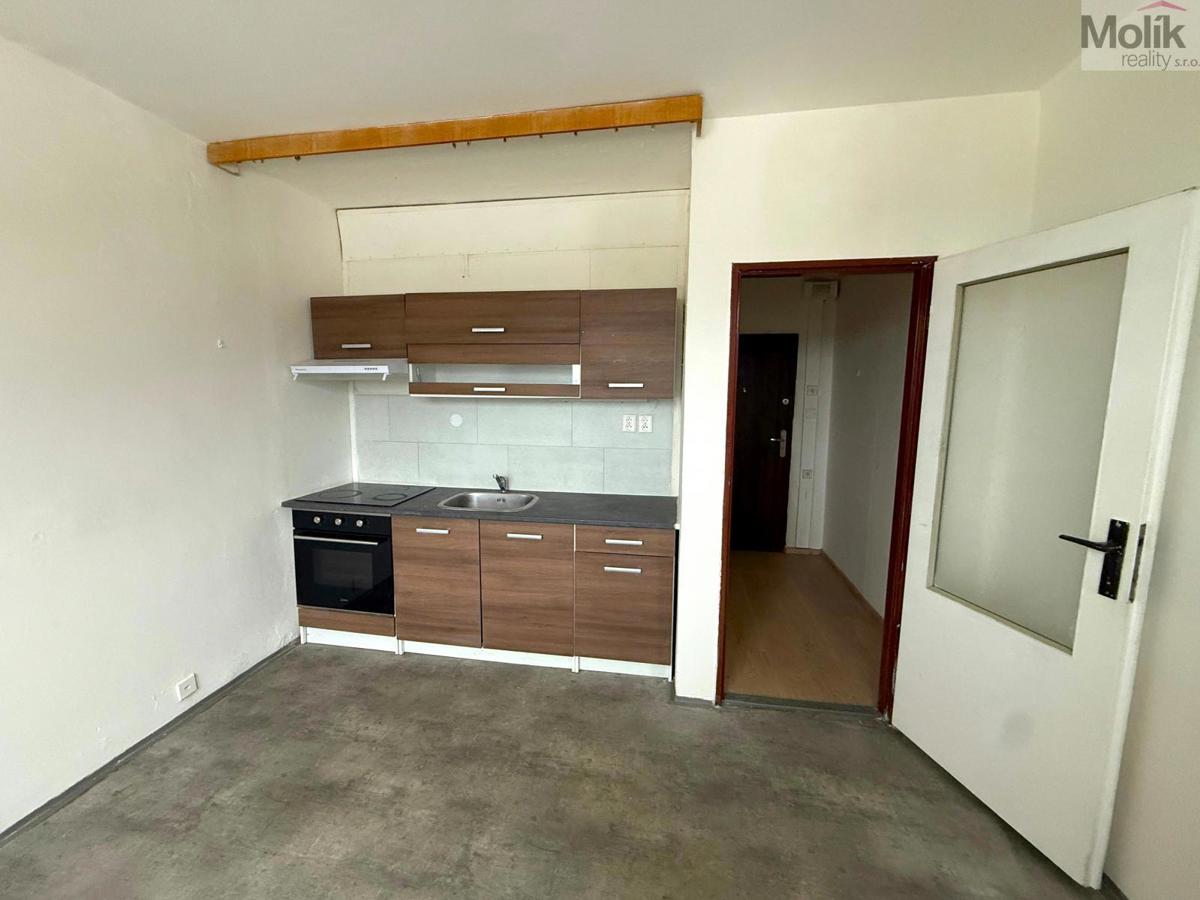 Fotografie 2 - Pronájem bytu · 1+1 · 34 m²