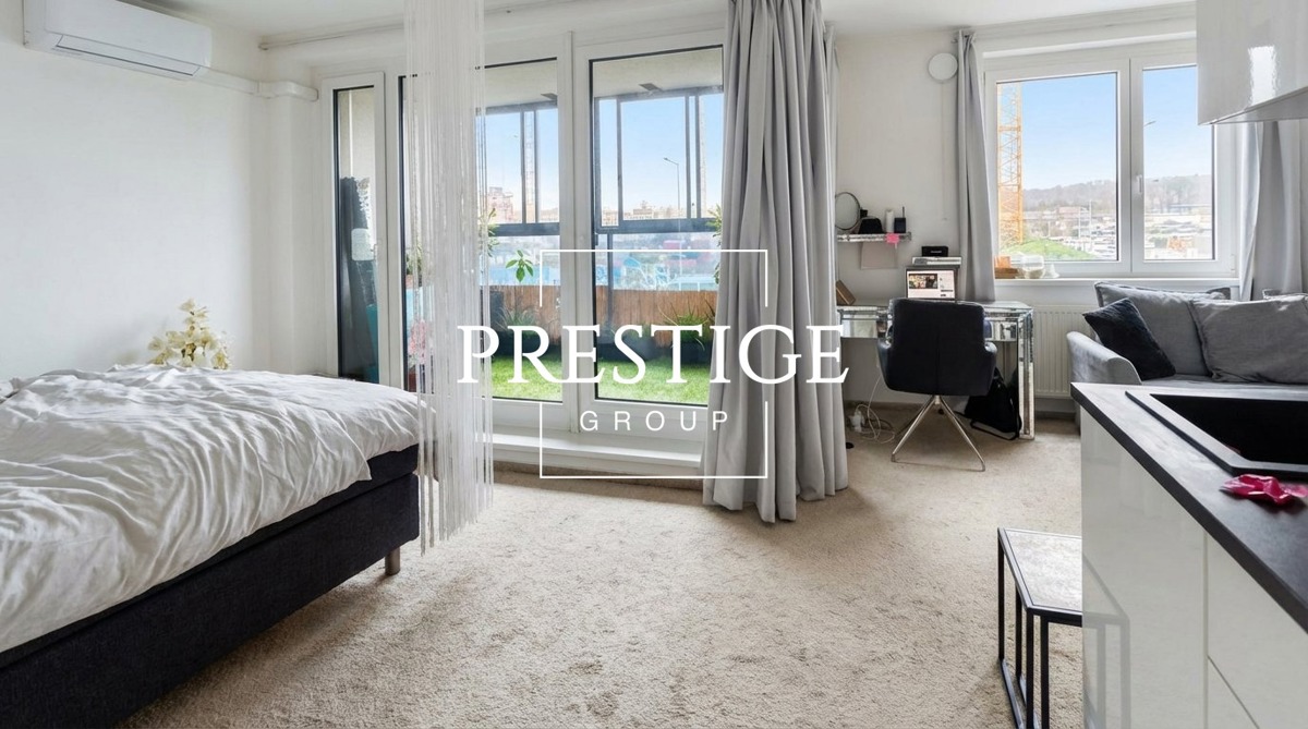 Pronájem bytu · 1+kk · 46 m²
