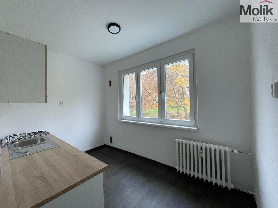 Fotografie 3 - Pronájem bytu · 2+1 · 55 m²