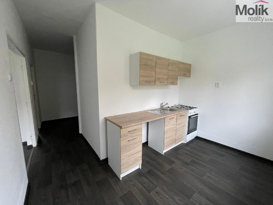 Fotografie 4 - Pronájem bytu · 2+1 · 55 m²