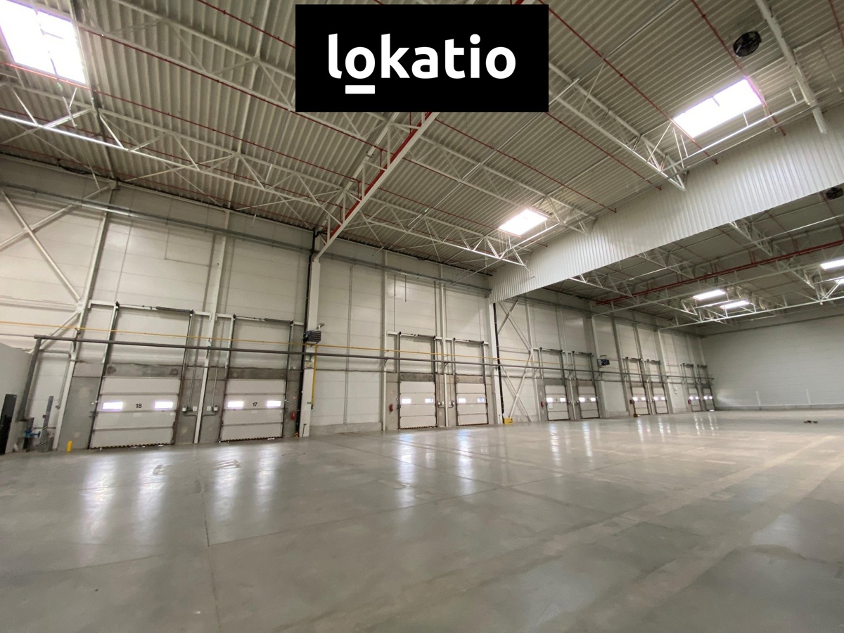 Fotografie 2 - Pronájem komerční nemovitosti · 1 909 m²