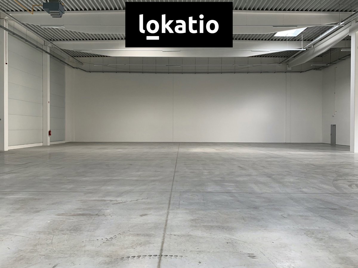 Fotografie 11/26