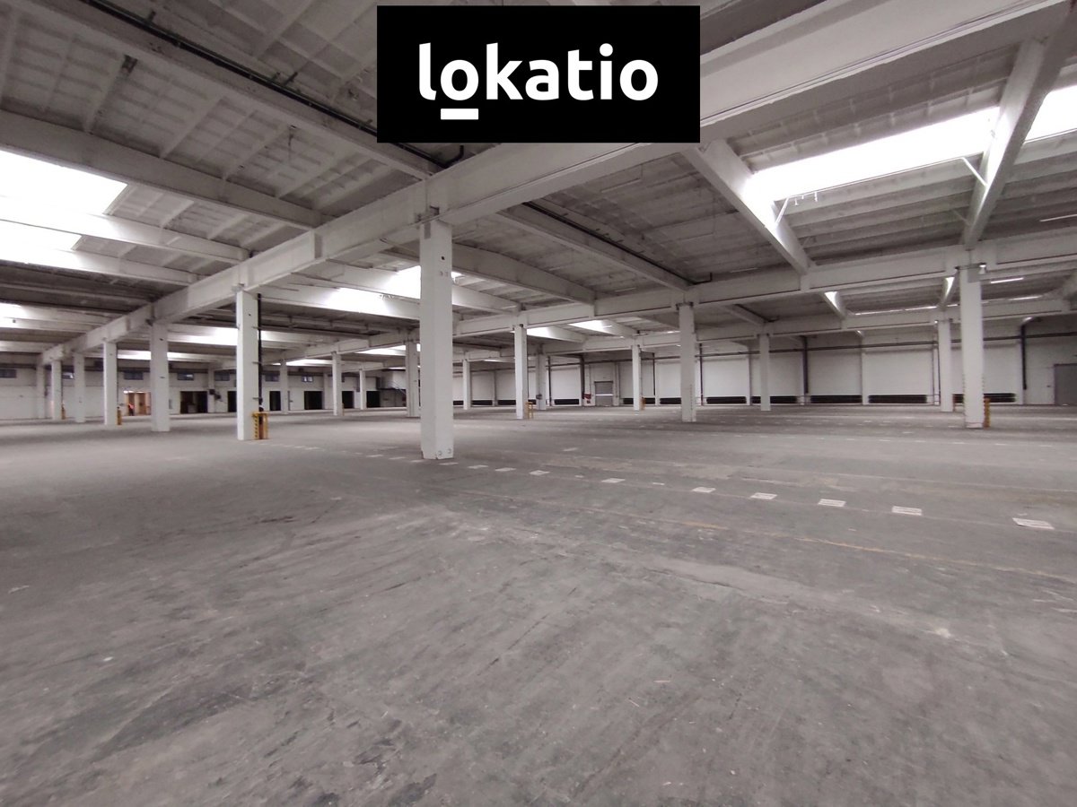 Fotografie 10/19