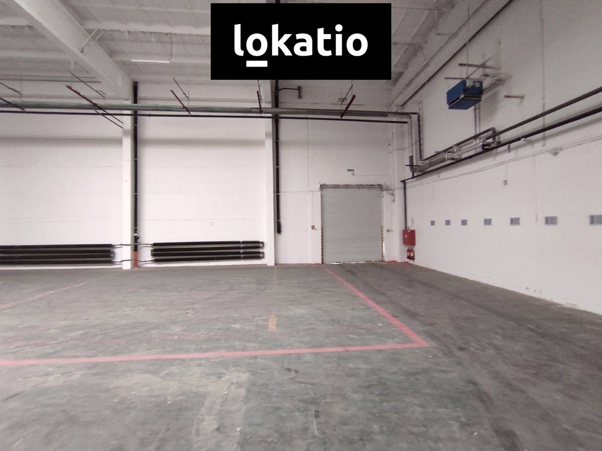 Fotografie 6/19