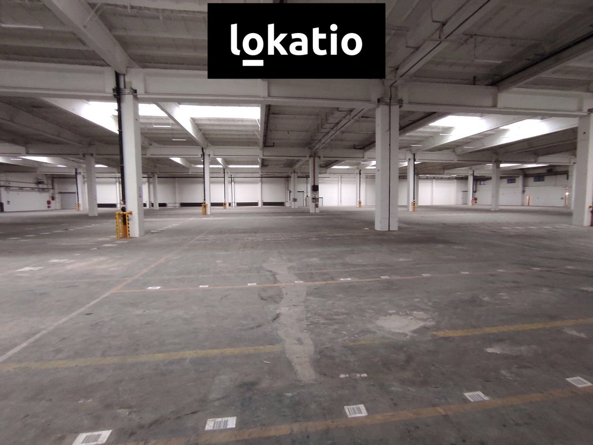Fotografie 8/19