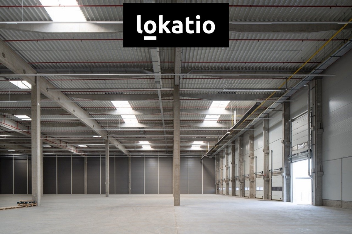 Fotografie 2 - Pronájem komerční nemovitosti · 2 600 m²