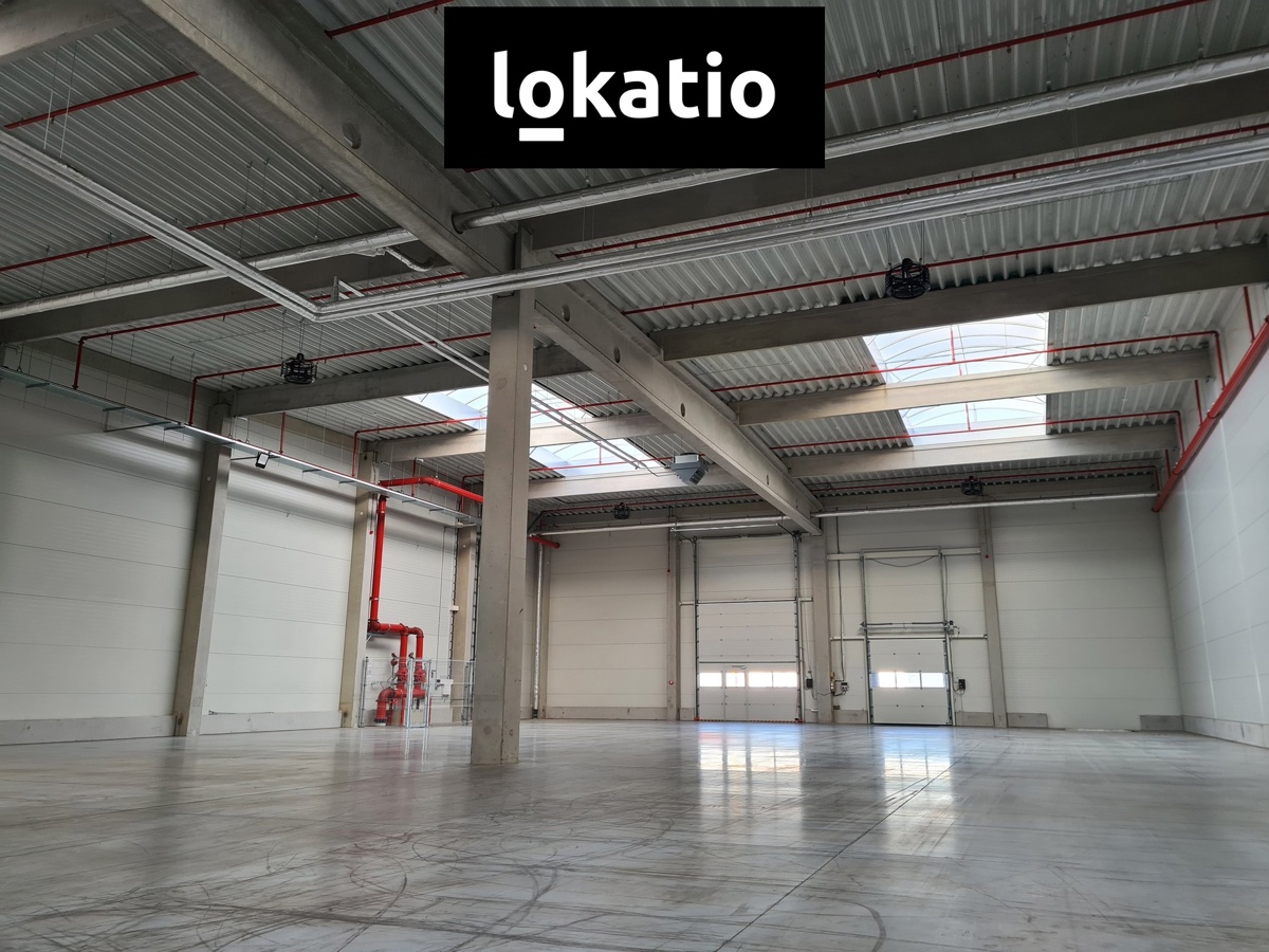 Pronájem komerční nemovitosti · 1 168 m²