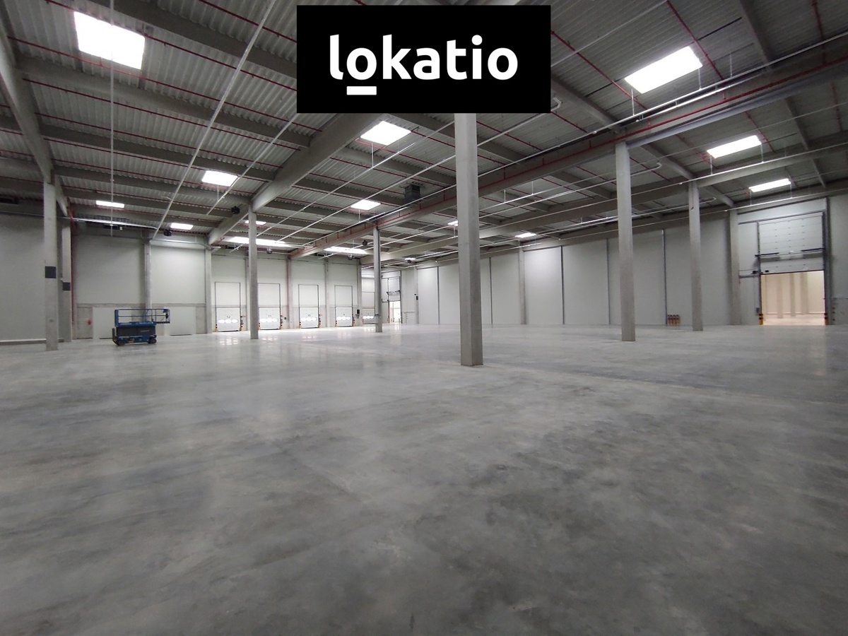 Pronájem komerční nemovitosti · 1 155 m²