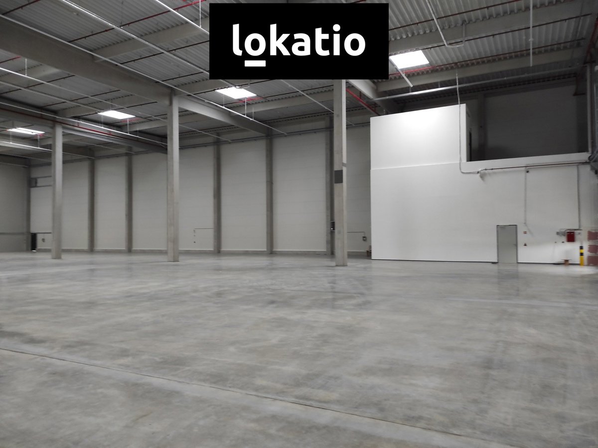Fotografie 10/17