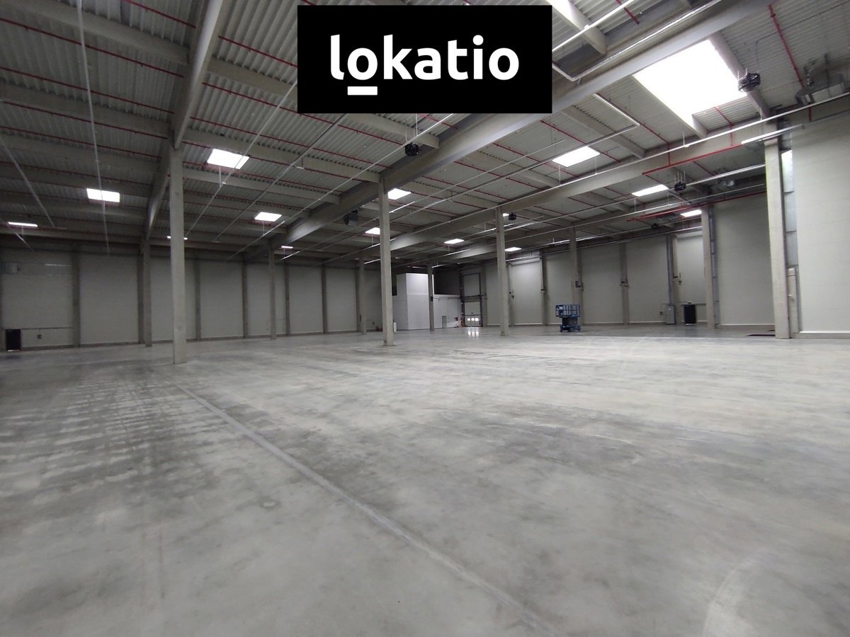 Fotografie 11/17