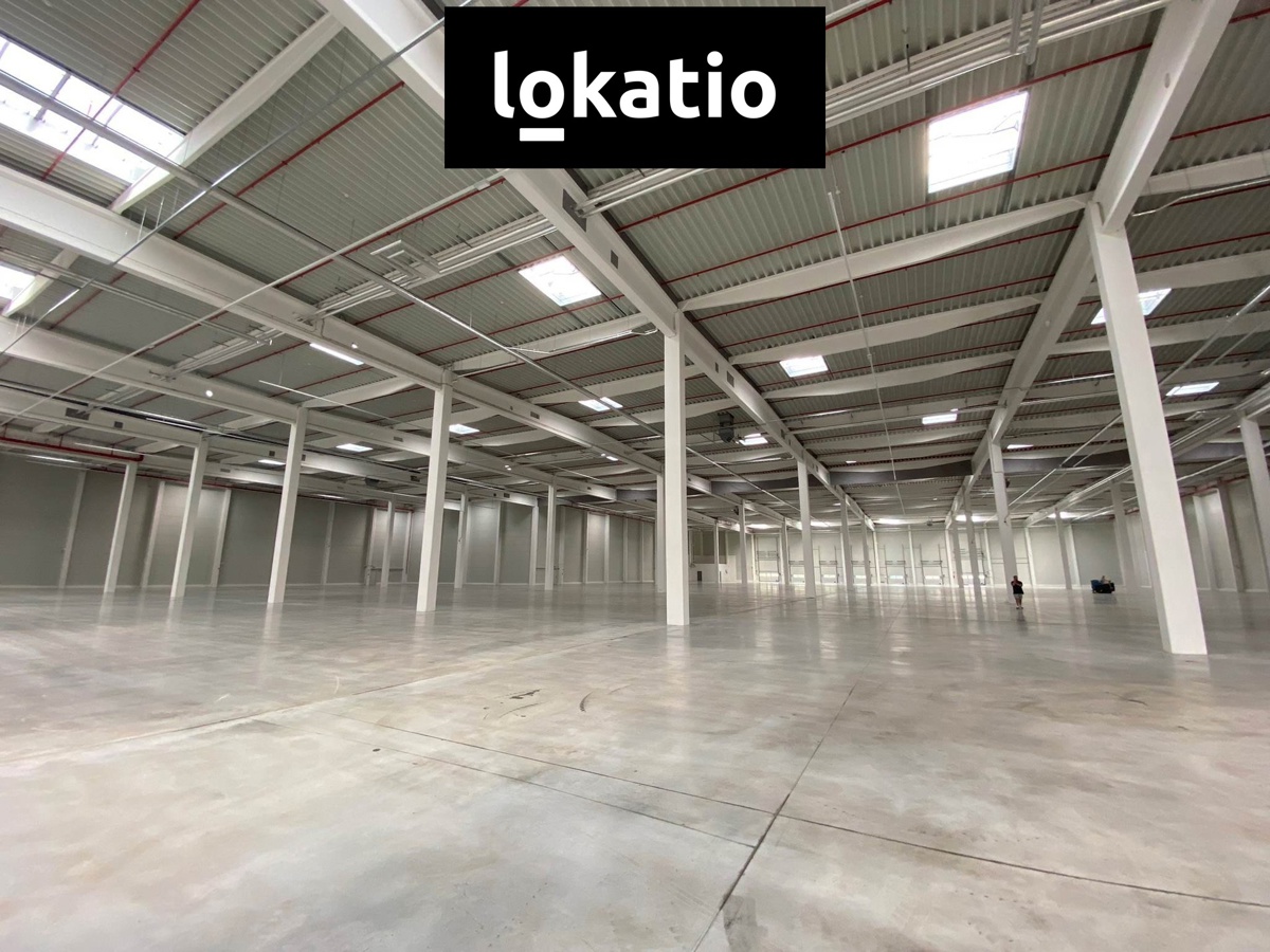Аренда коммерческой недвижимости · Склад · 3 700 m²