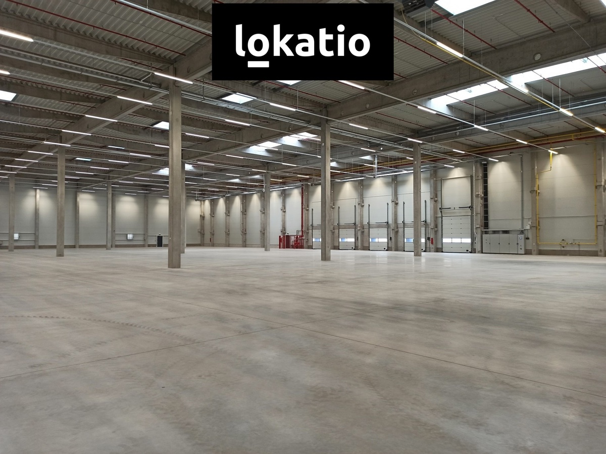 Fotografie 2 - Pronájem komerční nemovitosti · 8 000 m²
