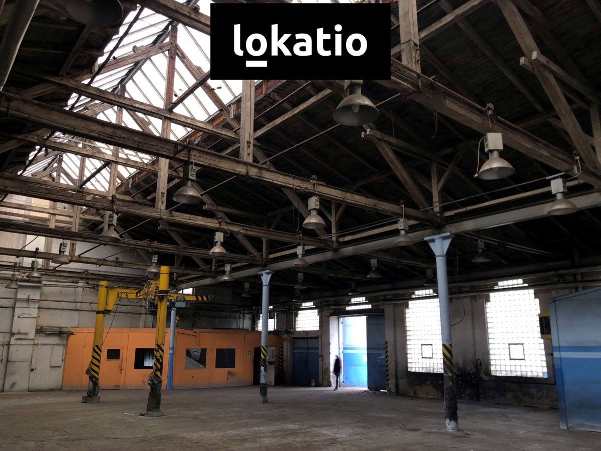 Photo 10/13