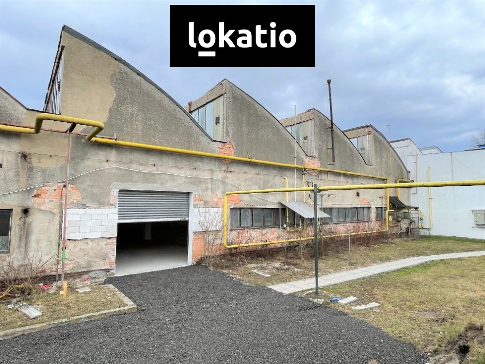 Pronájem komerční nemovitosti · 1 650 m²