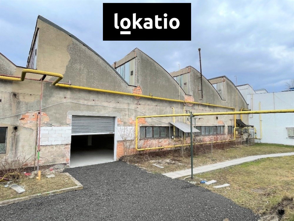Fotografie 1/13
