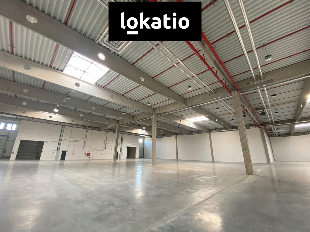 Fotografie 2 - Pronájem komerční nemovitosti · 1 800 m²