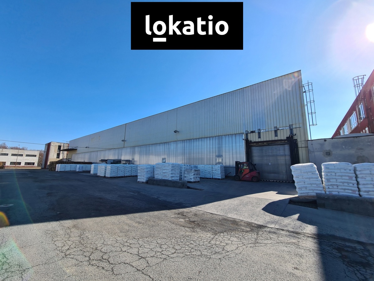 Pronájem komerční nemovitosti · Sklad · 780 m²