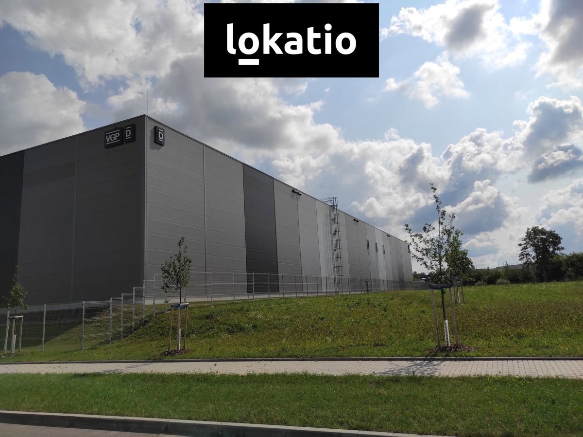 Фото 1/20