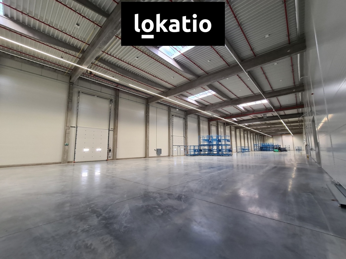 Fotografie 2 - Pronájem komerční nemovitosti · Sklad · 2 000 m²