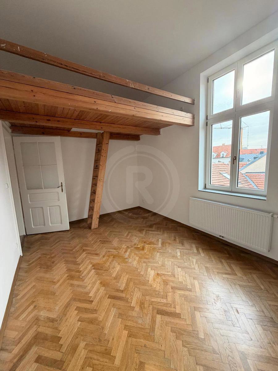 Fotografie 11/19