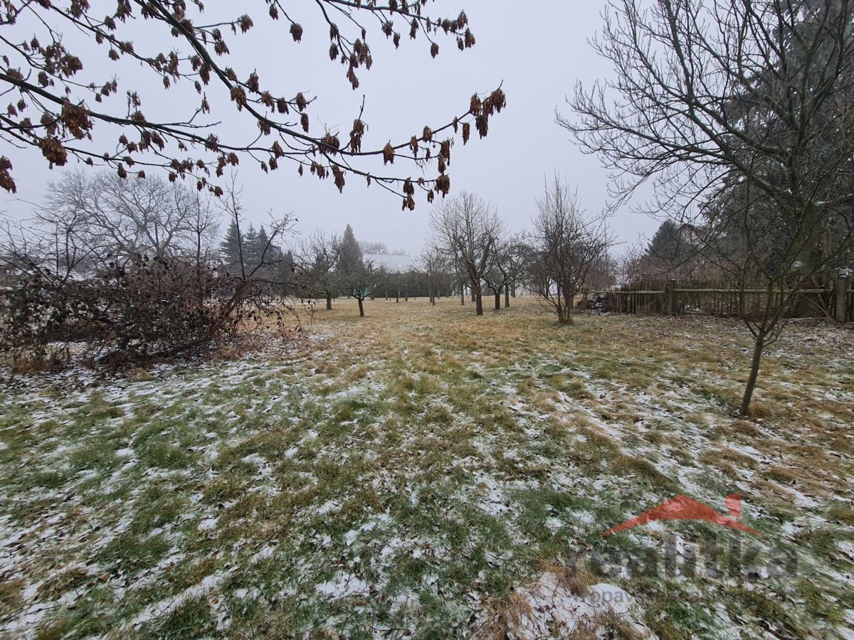 Photo 2/9