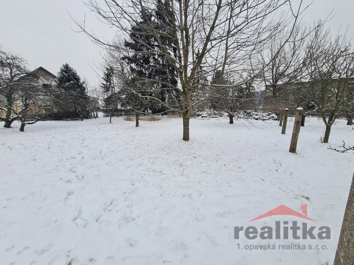 Fotografie 3/9