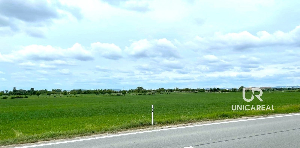 Fotografie 4 - Prodej pozemku · Pole