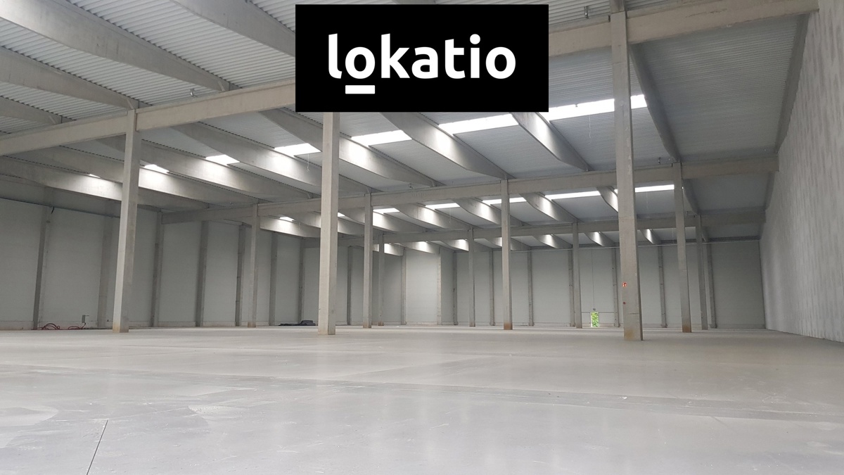 Pronájem komerční nemovitosti · Sklad · 2 000 m²