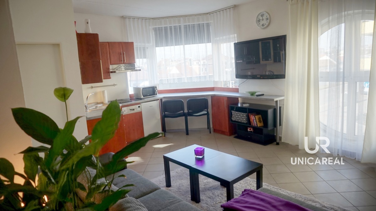Pronájem bytu · 1+kk · 33 m²
