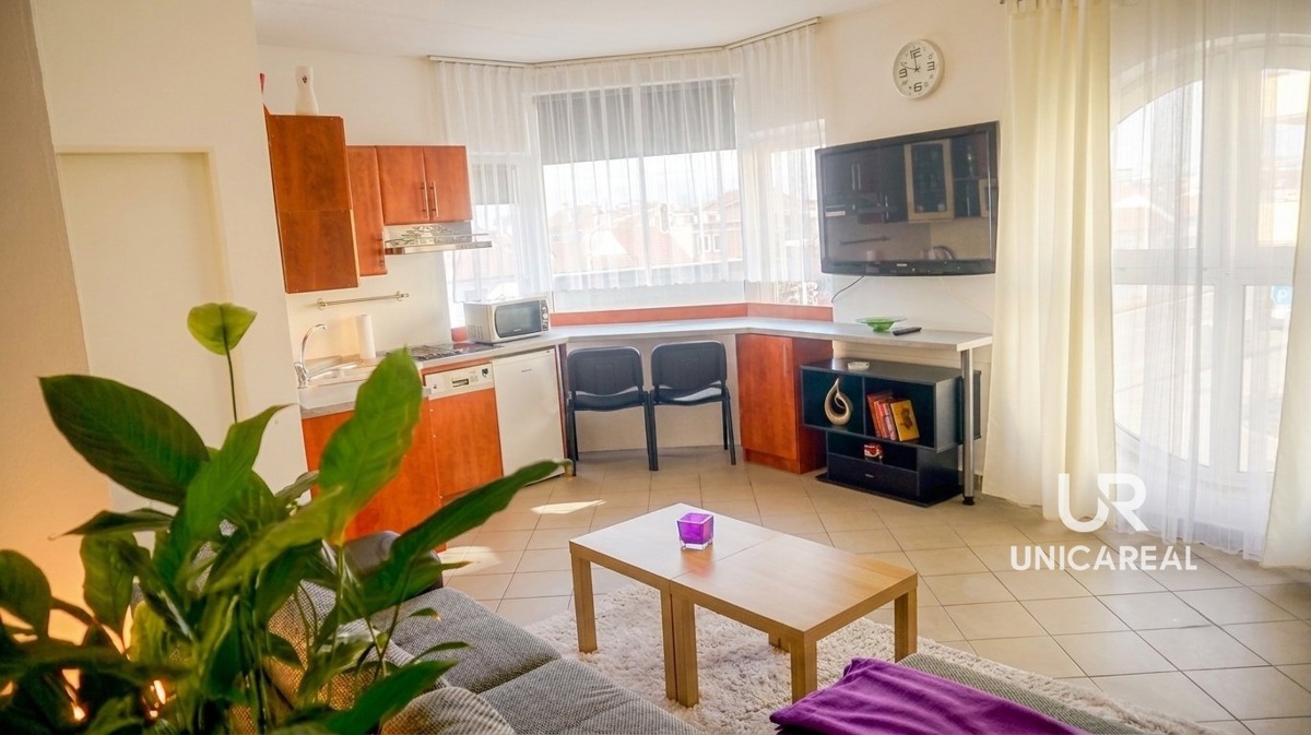 Pronájem bytu · 1+kk · 33 m²