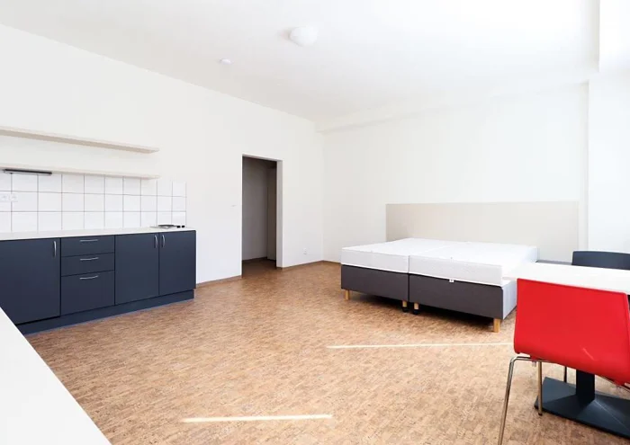 Căn hộ cho thuê · 1+kk · 27 m²