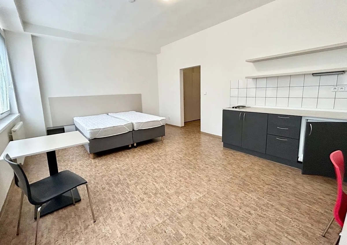 Fotografie 2 - Pronájem bytu · 1+kk · 27 m²