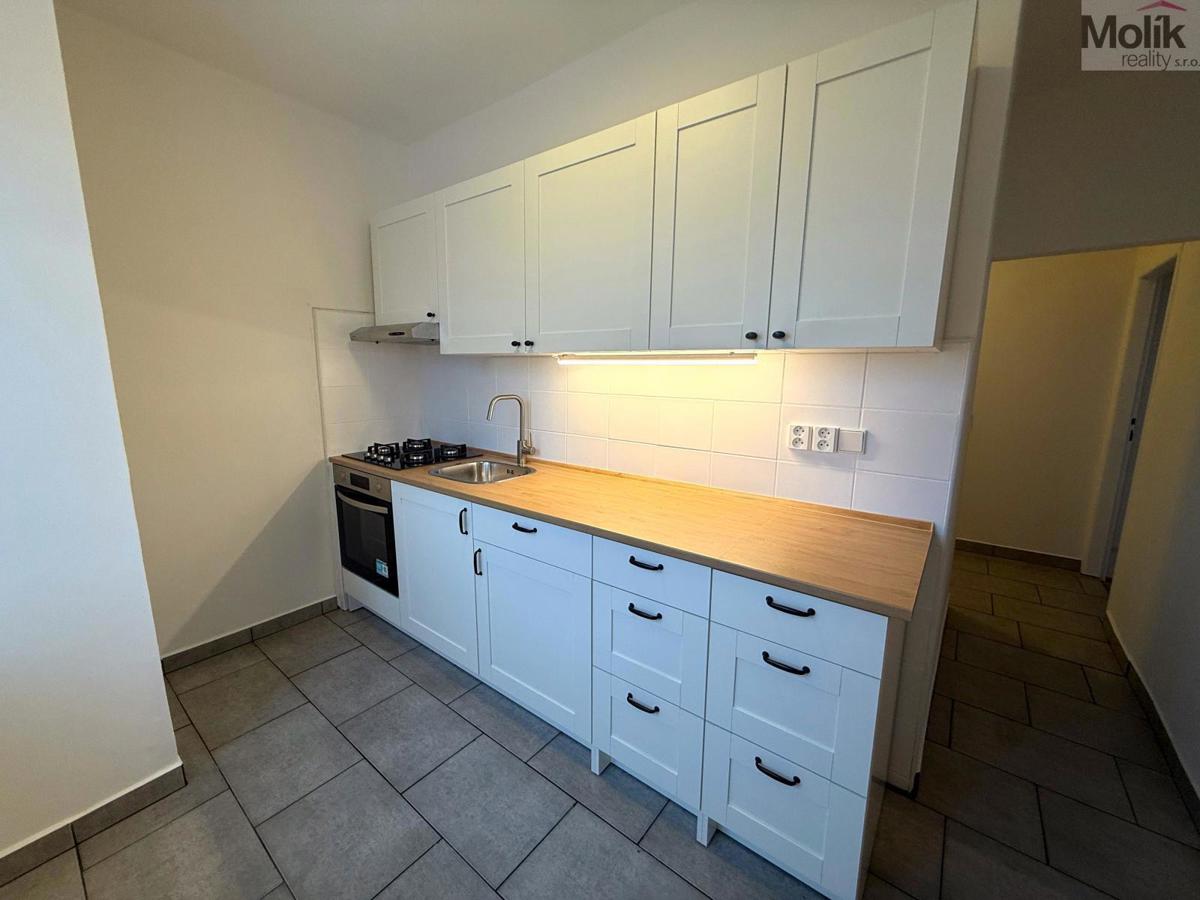 Pronájem bytu · 2+1 · 54 m²