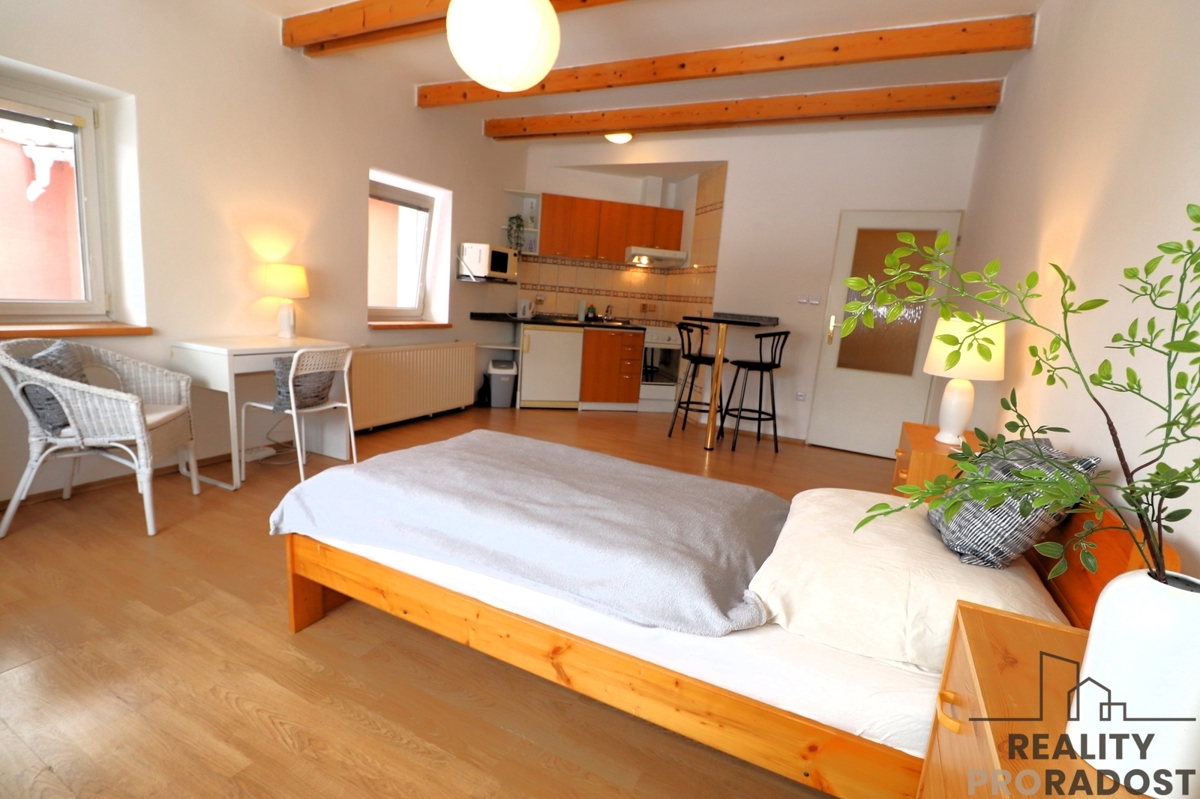 Pronájem bytu · 1+kk · 33 m²