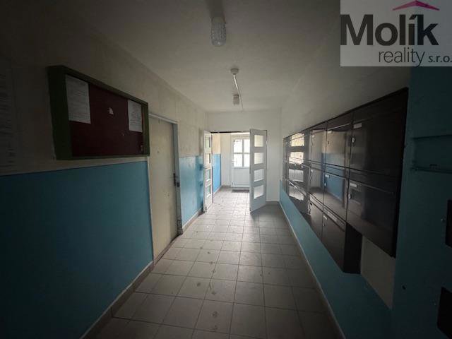 Photo 15/16