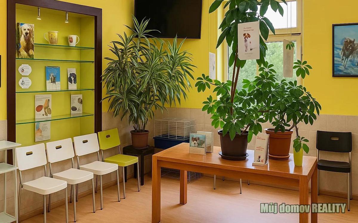 Bất động sản thương mại cho thuê · 300 m²