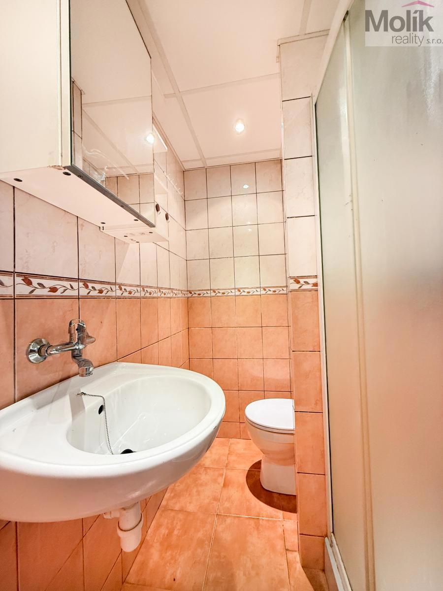 Fotografie 2 - Pronájem bytu · 1+kk · 22 m²