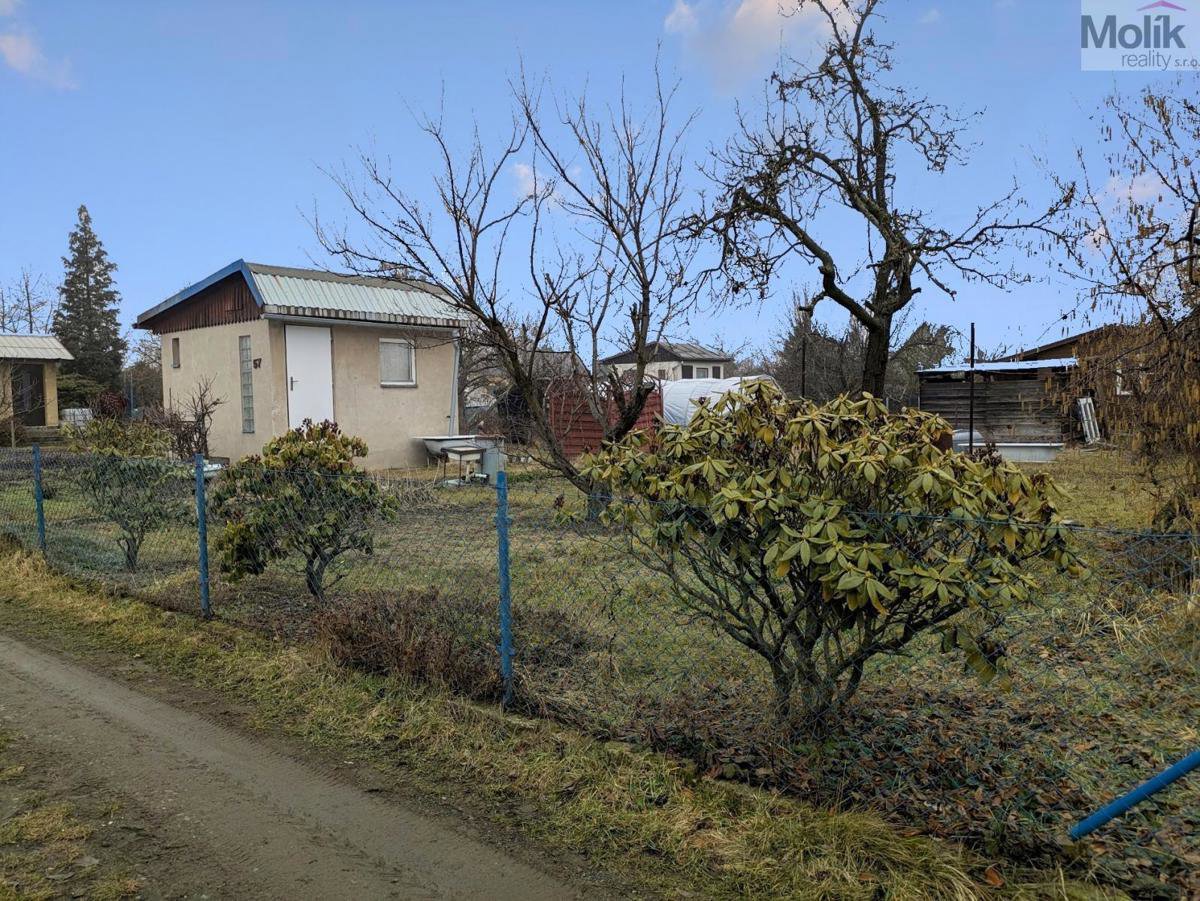 Photo 2/8