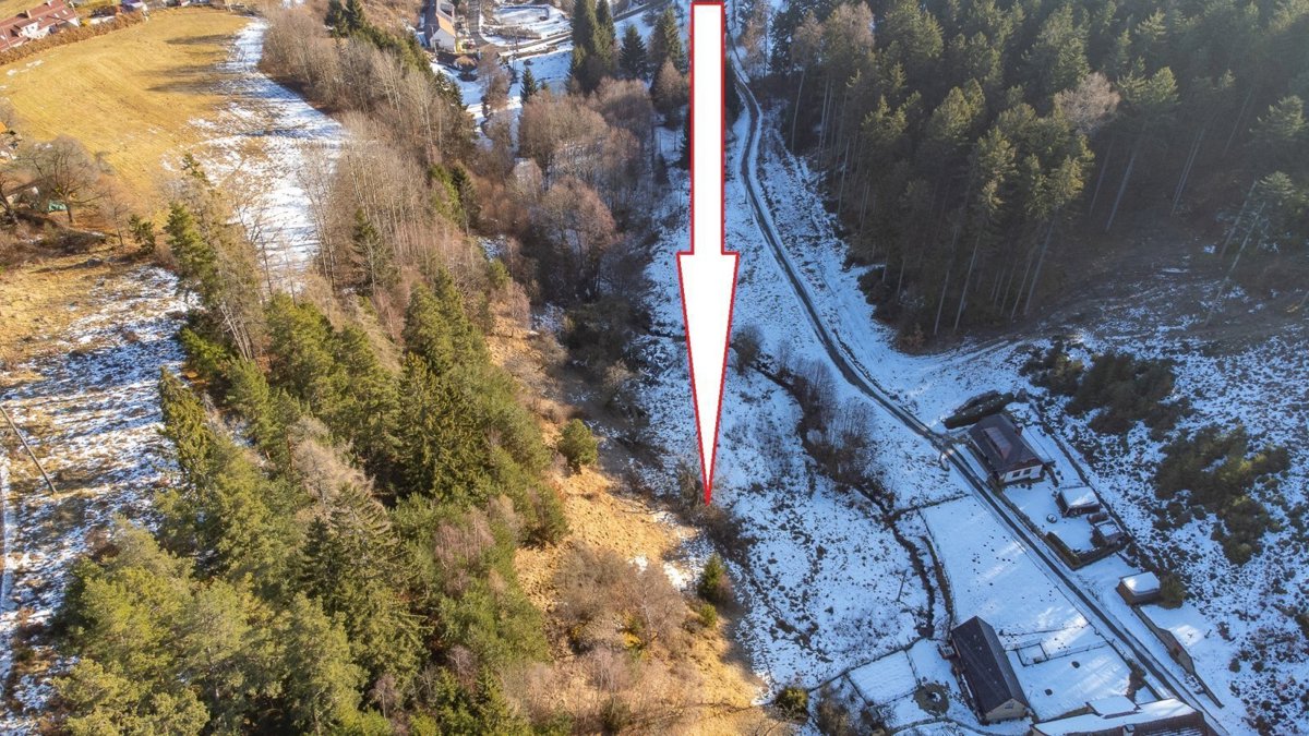 Fotografie 3 - Prodej pozemku · Bydlení · 15 955 m²