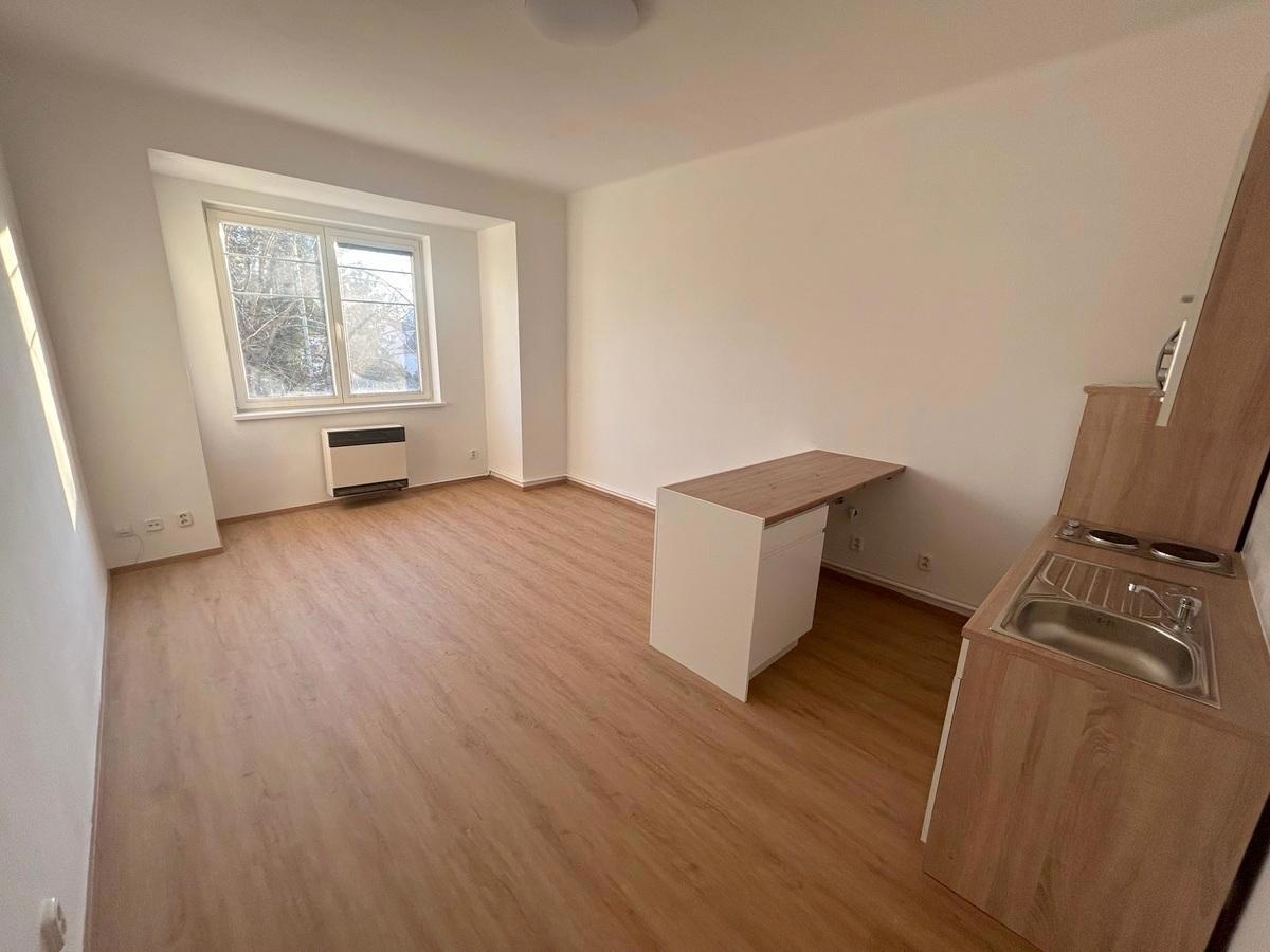 Pronájem bytu · 1+kk · 30 m²